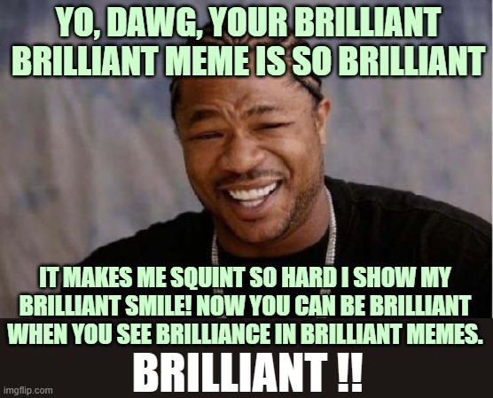 ▬▬ comment specific to "Brilliant!" reaction meme | YO, DAWG, YOUR BRILLIANT BRILLIANT MEME IS SO BRILLIANT IT MAKES ME SQUINT SO HARD I SHOW MY
BRILLIANT SMILE! NOW YOU CAN BE BRILLIANT
WHEN  | image tagged in yo dawg heard you,brilliant,comment | made w/ Imgflip meme maker