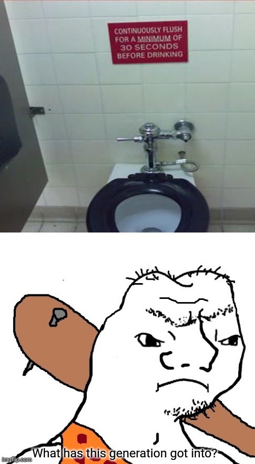 Continuously flush for a minimum of 30 seconds before drinking | image tagged in what has this generation got into,you had one job,you had one job just the one,memes,funny,bathroom | made w/ Imgflip meme maker