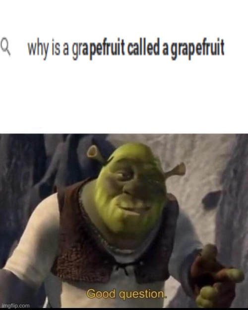 Good Question | image tagged in shrek | made w/ Imgflip meme maker