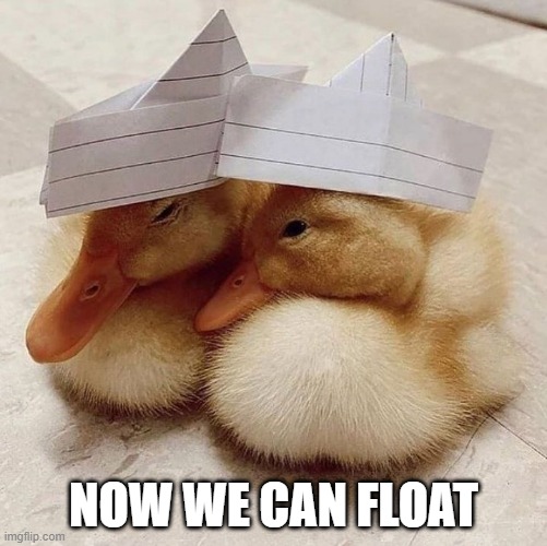 DUCK BOATS | NOW WE CAN FLOAT | image tagged in ducks,duckling | made w/ Imgflip meme maker