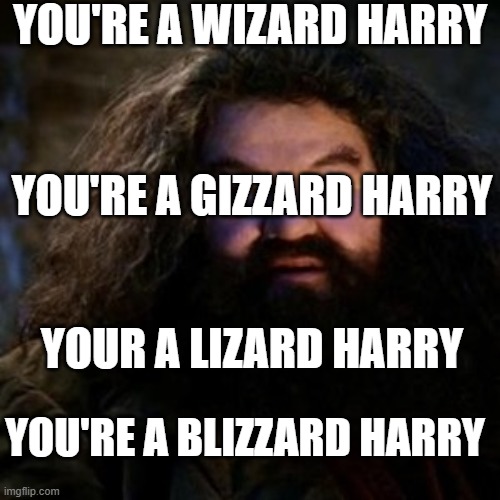 You're a wizard harry | YOU'RE A WIZARD HARRY; YOU'RE A GIZZARD HARRY; YOUR A LIZARD HARRY; YOU'RE A BLIZZARD HARRY | image tagged in you're a wizardblizardlizardgizzard harry | made w/ Imgflip meme maker