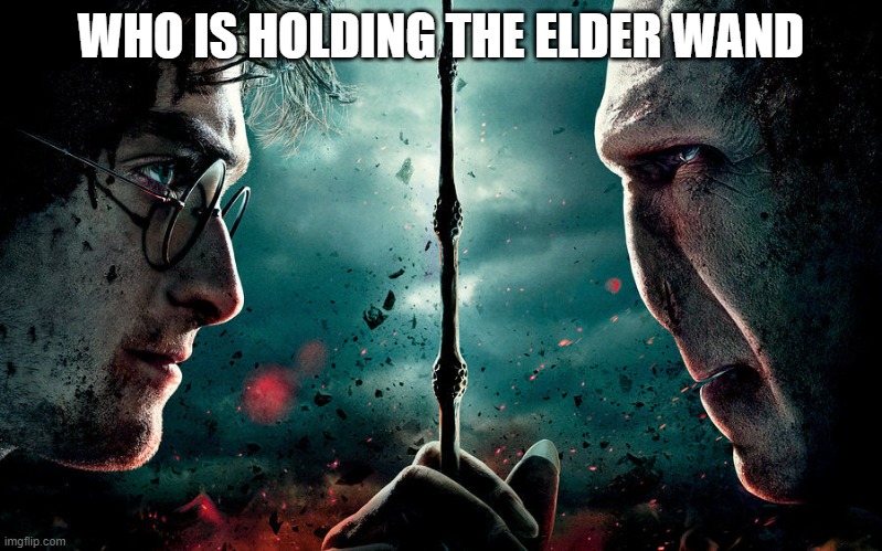 harry and voldemort | WHO IS HOLDING THE ELDER WAND | image tagged in harry and voldemort | made w/ Imgflip meme maker