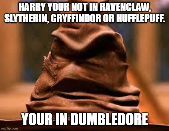 Harry Potter Sorting Hat | HARRY YOUR NOT IN RAVENCLAW, SLYTHERIN, GRYFFINDOR OR HUFFLEPUFF. YOUR IN DUMBLEDORE | image tagged in harry potter sorting hat | made w/ Imgflip meme maker