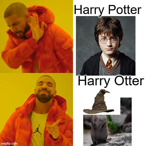 Drake Hotline Bling | Harry Potter; Harry Otter | image tagged in memes,drake hotline bling | made w/ Imgflip meme maker