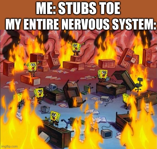 This post will be buried  lesbian fishie | ME: STUBS TOE; MY ENTIRE NERVOUS SYSTEM: | image tagged in spongebob fire | made w/ Imgflip meme maker