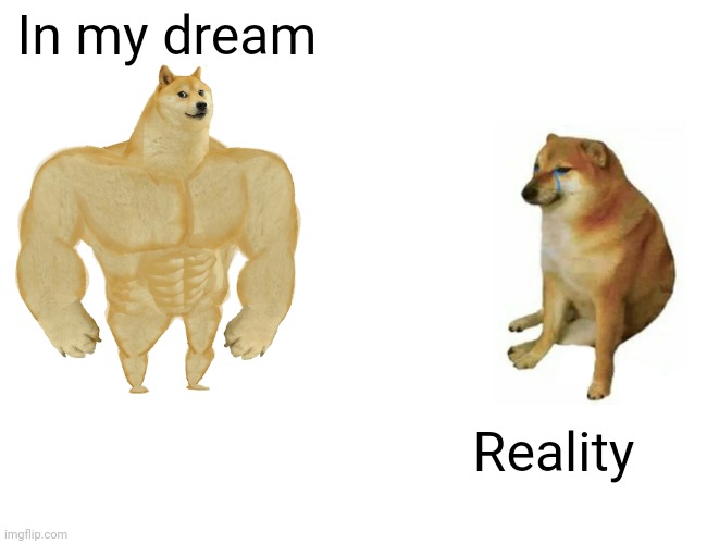 Dream meme | In my dream; Reality | image tagged in memes,buff doge vs cheems | made w/ Imgflip meme maker