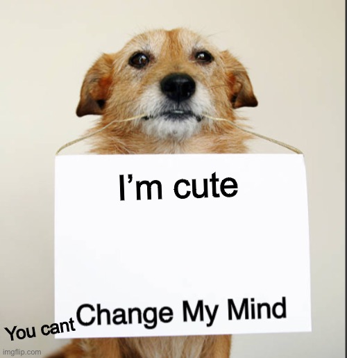 Change My Mind Dog | I’m cute; You can’t | image tagged in change my mind dog | made w/ Imgflip meme maker