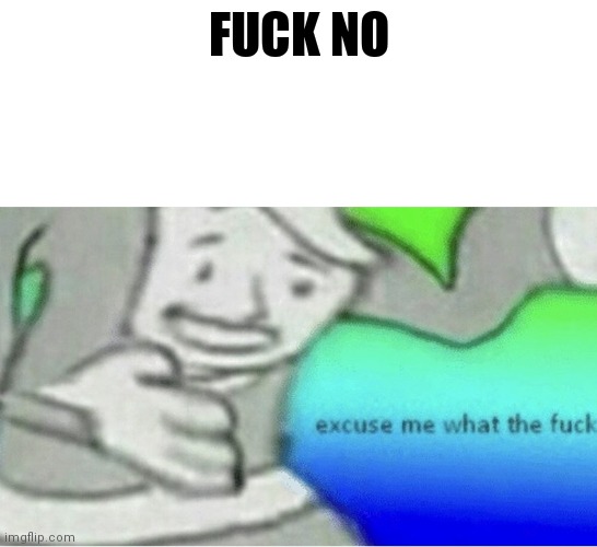 Excuse me wtf blank template | FUCK NO | image tagged in excuse me wtf blank template | made w/ Imgflip meme maker