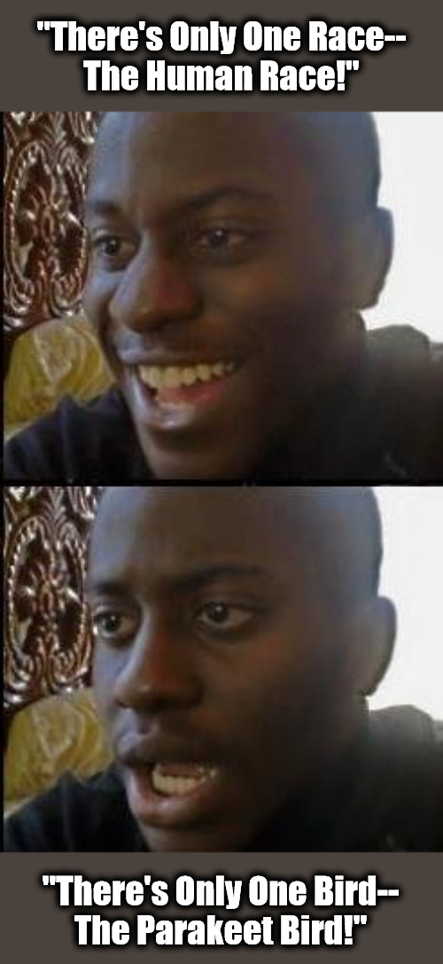 Celebrating Human Biodiversity | "There's Only One Race--
The Human Race!"; "There's Only One Bird--
The Parakeet Bird!" | image tagged in disappointed black guy,human species,human race,human species vs human race,race memes,human races | made w/ Imgflip meme maker