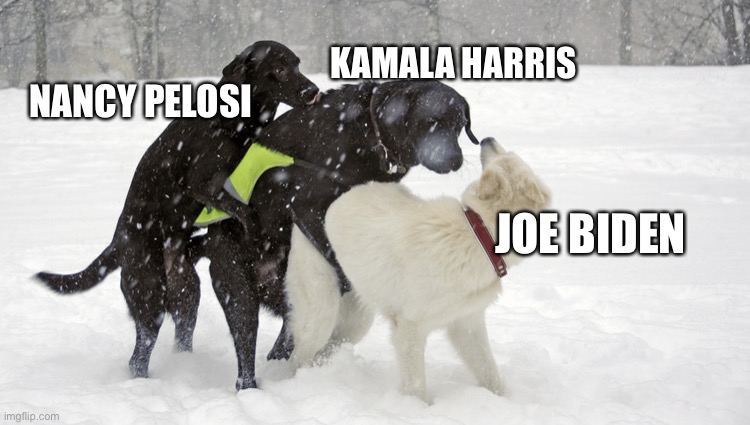 What is more scary? Kamala Harris being next in line, or Nancy Pelosi being third in line? | KAMALA HARRIS; NANCY PELOSI; JOE BIDEN | image tagged in doggie three way,memes,joe biden,kamala harris,nancy pelosi,democrats | made w/ Imgflip meme maker