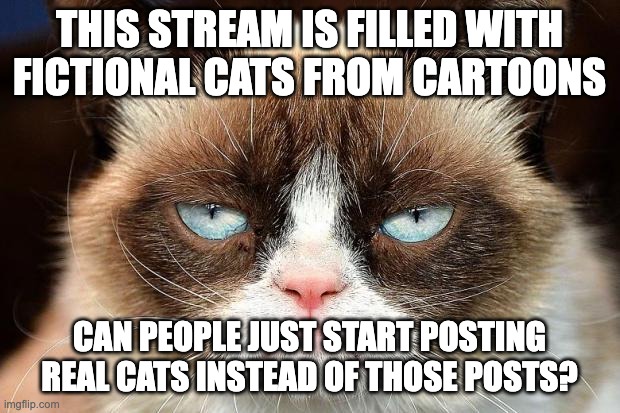 Wow everything is ruined | THIS STREAM IS FILLED WITH FICTIONAL CATS FROM CARTOONS; CAN PEOPLE JUST START POSTING REAL CATS INSTEAD OF THOSE POSTS? | image tagged in memes,grumpy cat not amused,grumpy cat | made w/ Imgflip meme maker