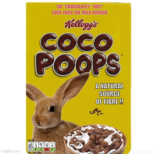 Coco Poops | SO "CHOCOLATEY" THEY EVEN TURN THE MILK BROWN; A NATURAL SOURCE
OF FIBRE !! | image tagged in memes,funny memes,coco,rabbit,poop,fun | made w/ Imgflip meme maker