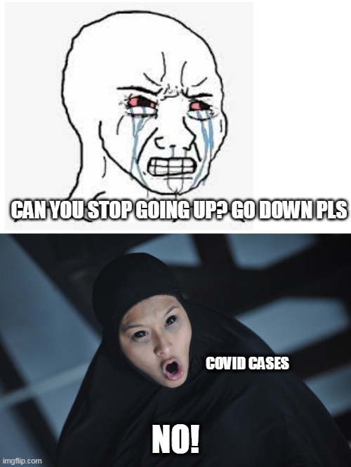 Malaysia covid cases right now | CAN YOU STOP GOING UP? GO DOWN PLS; COVID CASES; NO! | image tagged in munafik dajjal filem malaysia | made w/ Imgflip meme maker