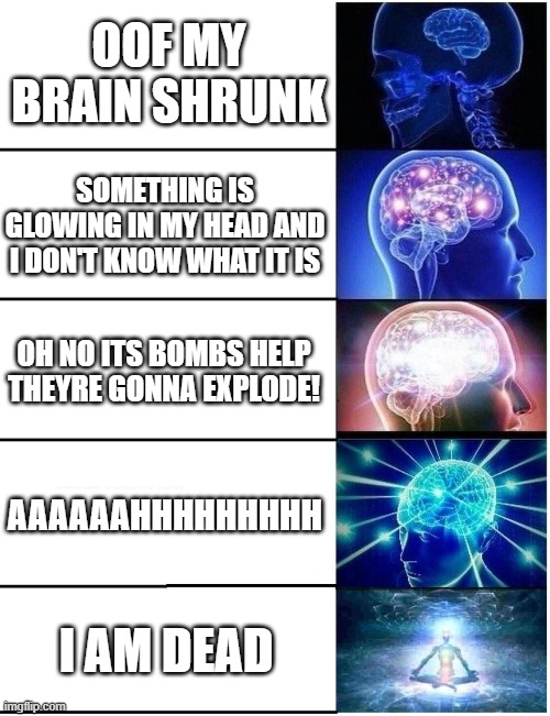 F | OOF MY BRAIN SHRUNK; SOMETHING IS GLOWING IN MY HEAD AND I DON'T KNOW WHAT IT IS; OH NO ITS BOMBS HELP THEYRE GONNA EXPLODE! AAAAAAHHHHHHHHH; I AM DEAD | image tagged in expanding brain 5 panel | made w/ Imgflip meme maker