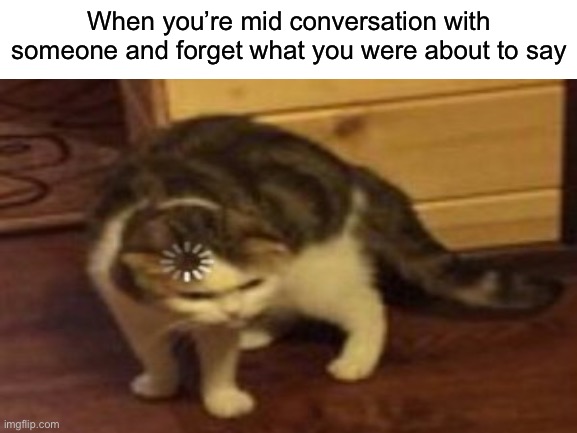 Bruh it happens | When you’re mid conversation with someone and forget what you were about to say | image tagged in loading cat | made w/ Imgflip meme maker