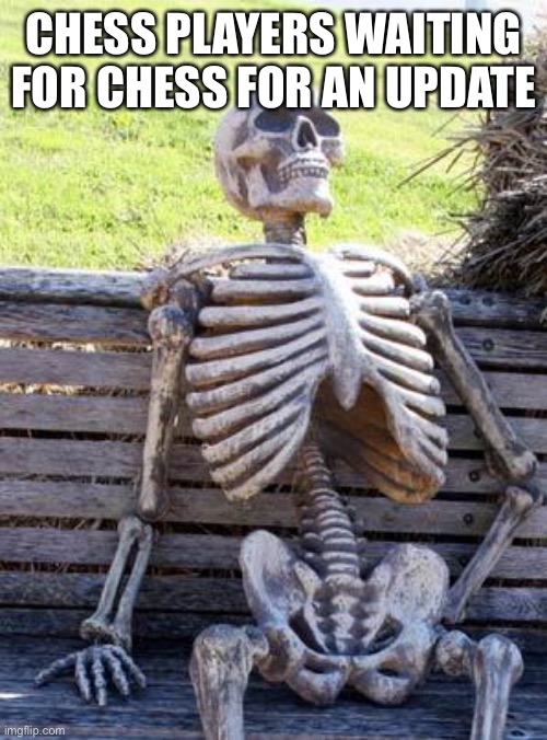 Waiting Skeleton Meme | CHESS PLAYERS WAITING FOR CHESS FOR AN UPDATE | image tagged in memes,waiting skeleton | made w/ Imgflip meme maker