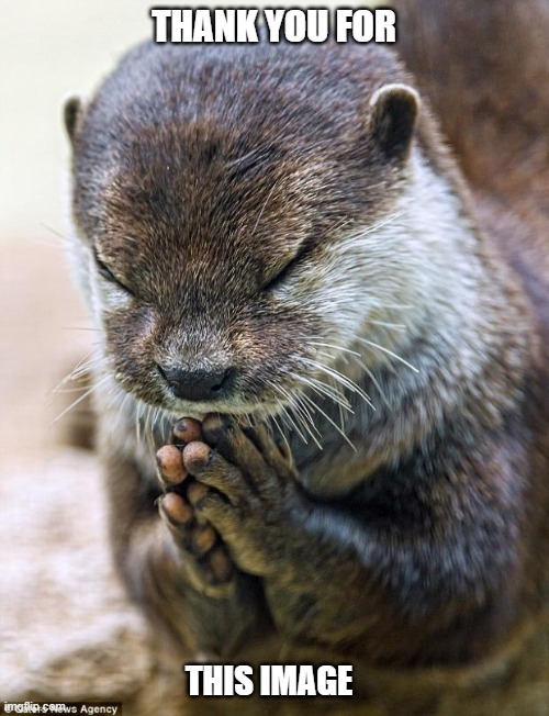 Thank you Lord Otter | THANK YOU FOR THIS IMAGE | image tagged in thank you lord otter | made w/ Imgflip meme maker