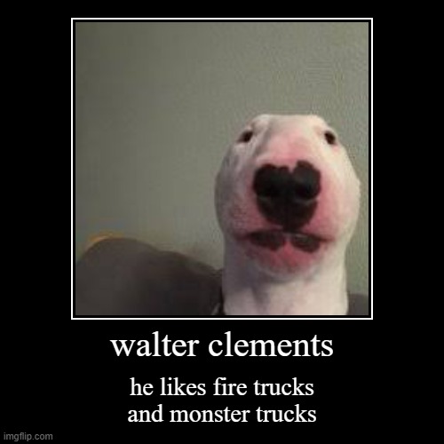 walter | image tagged in funny,demotivationals,walter | made w/ Imgflip demotivational maker