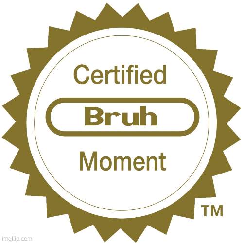 Certified bruh moment | image tagged in certified bruh moment | made w/ Imgflip meme maker