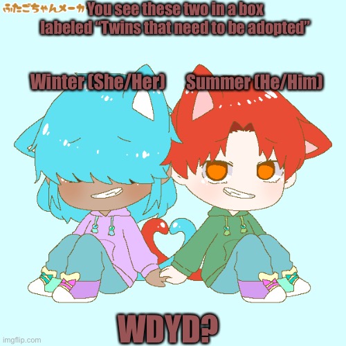 They look about 6 years old. |  You see these two in a box labeled “Twins that need to be adopted”; Winter (She/Her); Summer (He/Him); WDYD? | made w/ Imgflip meme maker
