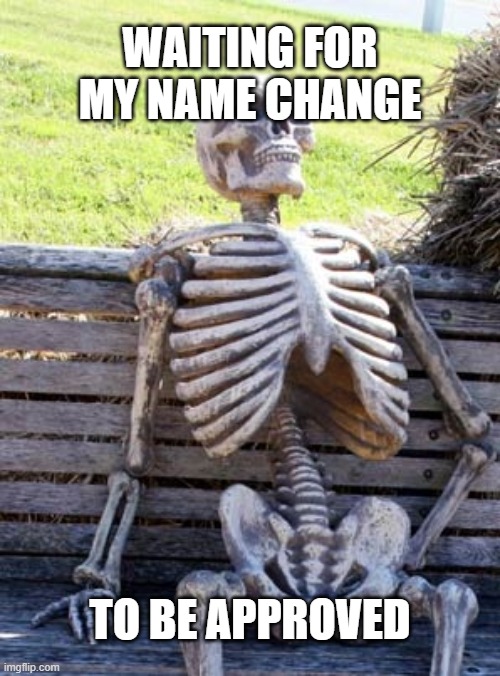 Endlessss | WAITING FOR MY NAME CHANGE; TO BE APPROVED | image tagged in skeleton on bench,gender,trans | made w/ Imgflip meme maker