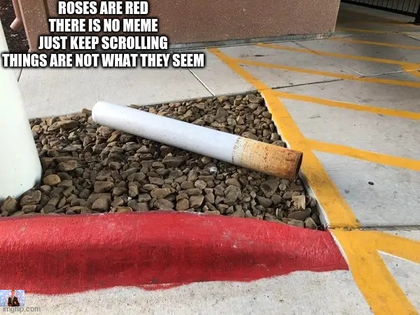 Things are not what they seem | ROSES ARE RED
THERE IS NO MEME
JUST KEEP SCROLLING
THINGS ARE NOT WHAT THEY SEEM | image tagged in cigarettes,illusions | made w/ Imgflip meme maker
