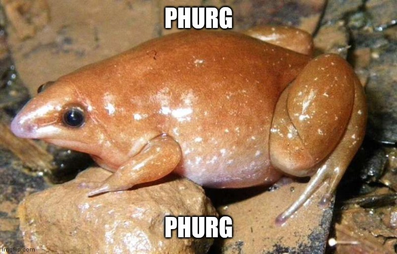 Phurg | PHURG; PHURG | image tagged in phurg | made w/ Imgflip meme maker