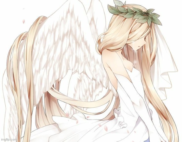 Anime angel | image tagged in anime angel | made w/ Imgflip meme maker