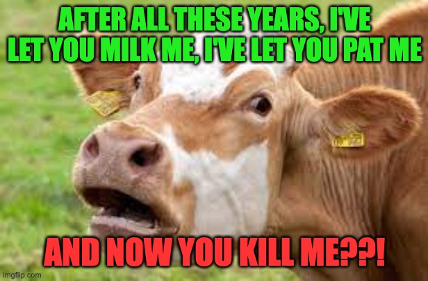 AFTER ALL THESE YEARS, I'VE LET YOU MILK ME, I'VE LET YOU PAT ME AND NOW YOU KILL ME??! | made w/ Imgflip meme maker