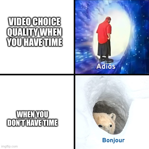 Video choice quality | VIDEO CHOICE QUALITY WHEN YOU HAVE TIME; WHEN YOU DON’T HAVE TIME | image tagged in adios bonjour | made w/ Imgflip meme maker