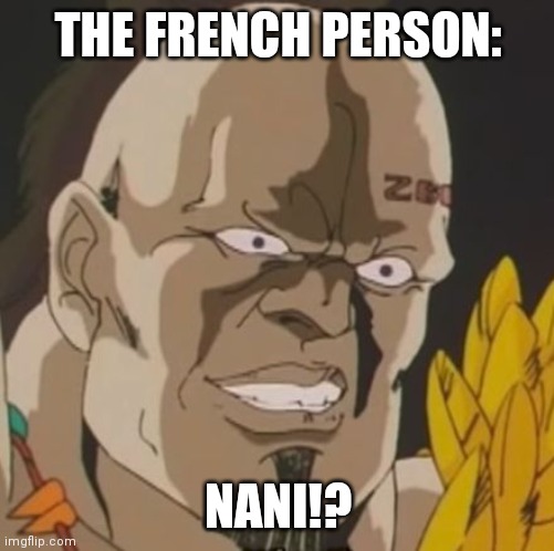 nani | THE FRENCH PERSON: NANI!? | image tagged in nani | made w/ Imgflip meme maker