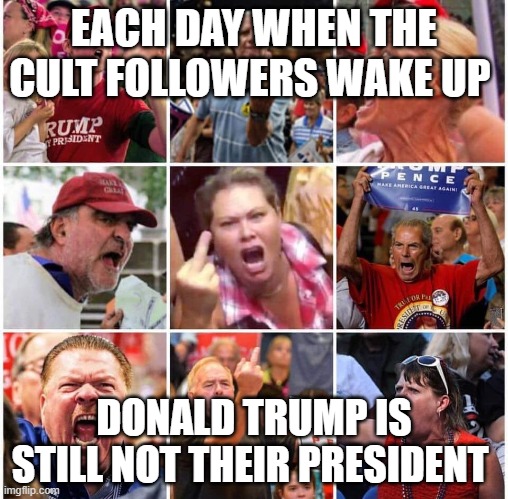 Another day gone down - Another day Donald Trump is not your President | EACH DAY WHEN THE CULT FOLLOWERS WAKE UP; DONALD TRUMP IS STILL NOT THEIR PRESIDENT | image tagged in triggered trump supporters,donald trump,trump supporters,republicans,fascists | made w/ Imgflip meme maker