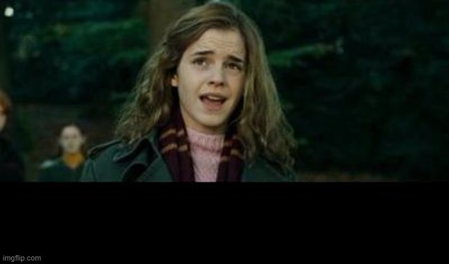 Just Hermione | image tagged in just hermione | made w/ Imgflip meme maker