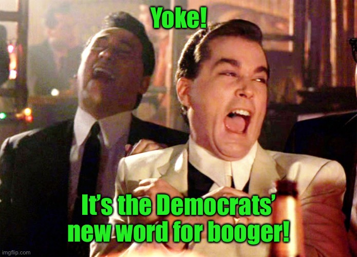 If offered “yoke”, just say “no”! | Yoke! It’s the Democrats’ new word for booger! | image tagged in memes,good fellas hilarious,joe biden,yoke,booger,renamed | made w/ Imgflip meme maker