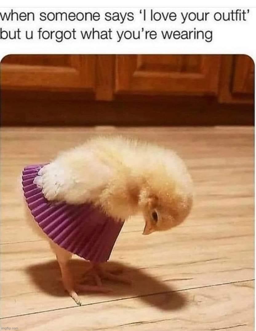 Looks like a tutu lol | image tagged in chick i love your outfit,repost | made w/ Imgflip meme maker