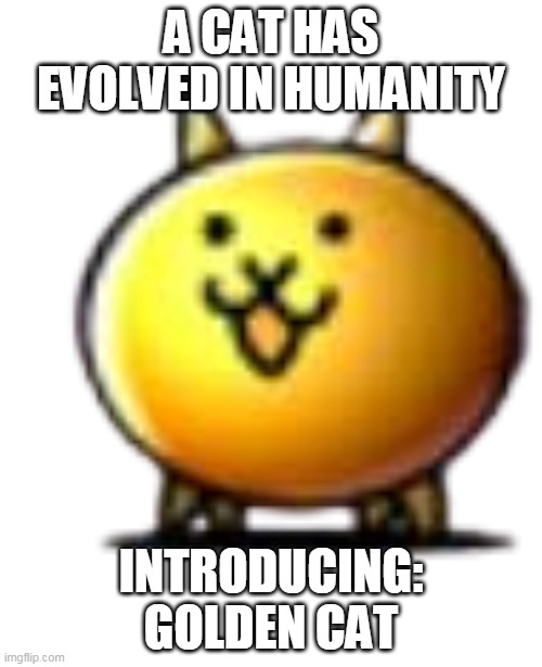 battle cats logic | A CAT HAS EVOLVED IN HUMANITY; INTRODUCING: GOLDEN CAT | image tagged in gold basic cat | made w/ Imgflip meme maker