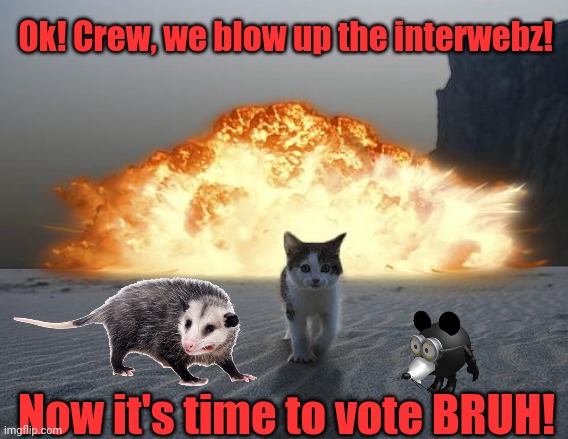 cat explosion | Ok! Crew, we blow up the interwebz! Now it's time to vote BRUH! | image tagged in cat explosion | made w/ Imgflip meme maker