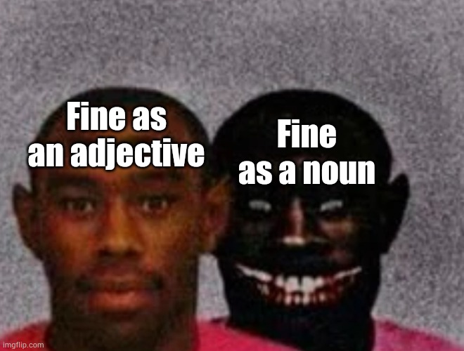 No title needed | Fine as an adjective; Fine as a noun | image tagged in good tyler and bad tyler | made w/ Imgflip meme maker