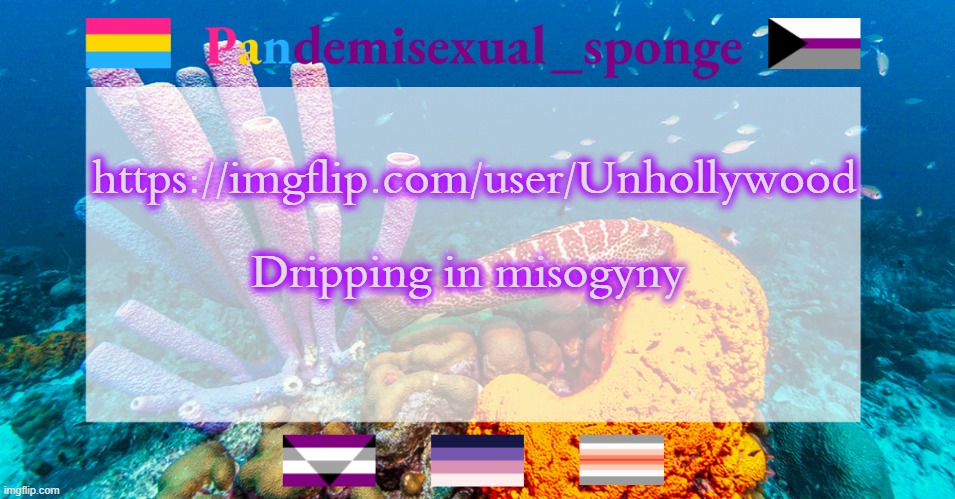 Don't harass them or anything, they still follow ToS technically | https://imgflip.com/user/Unhollywood; Dripping in misogyny | image tagged in pandemisexual_sponge temp,demisexual_sponge | made w/ Imgflip meme maker