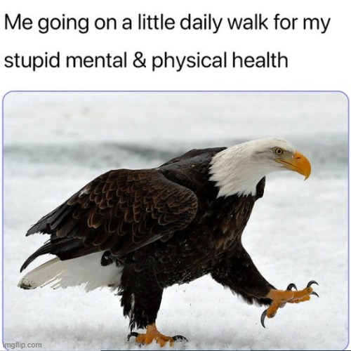 . | made w/ Imgflip meme maker