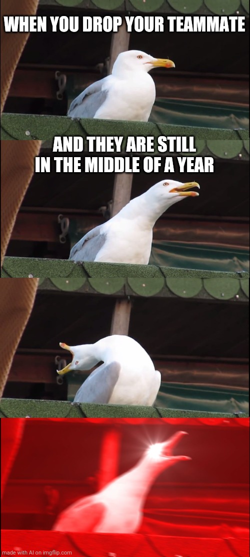 Inhaling Seagull | WHEN YOU DROP YOUR TEAMMATE; AND THEY ARE STILL IN THE MIDDLE OF A YEAR | image tagged in memes,inhaling seagull | made w/ Imgflip meme maker