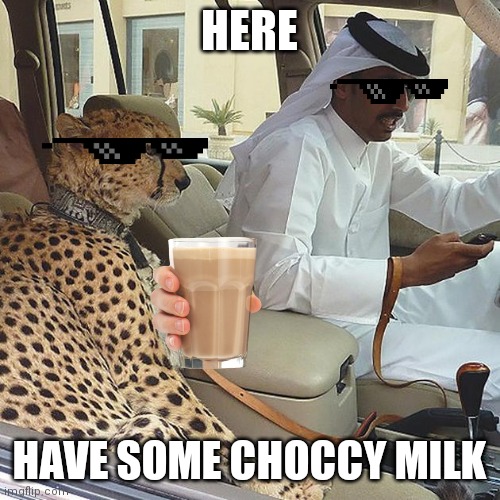 Proof why you should go to the UAE: | HERE; HAVE SOME CHOCCY MILK | image tagged in arabian_pets,have some choccy milk,arab | made w/ Imgflip meme maker