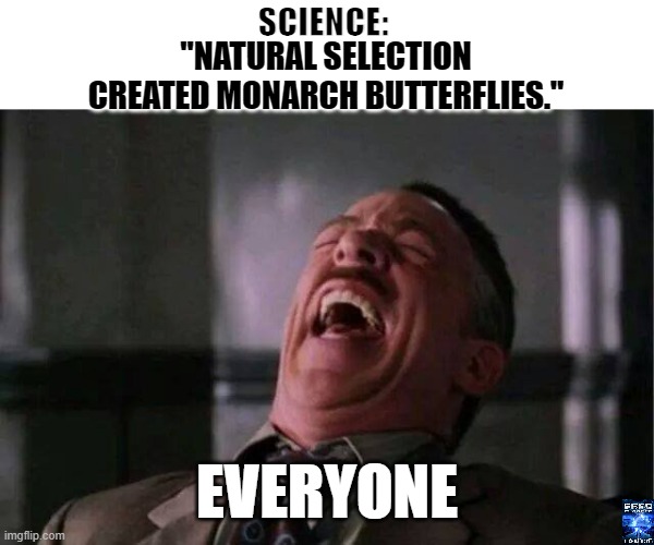 butterfly |  SCIENCE:; "NATURAL SELECTION CREATED MONARCH BUTTERFLIES."; EVERYONE | image tagged in jjj laugh | made w/ Imgflip meme maker