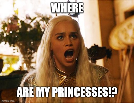 Where are my dragons | WHERE ARE MY PRINCESSES!? | image tagged in where are my dragons | made w/ Imgflip meme maker