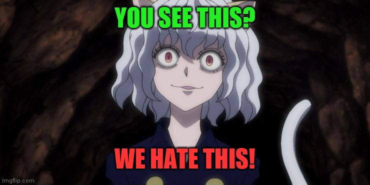 Hunter x Hunter meme | YOU SEE THIS? WE HATE THIS! | image tagged in hunter x hunter meme | made w/ Imgflip meme maker