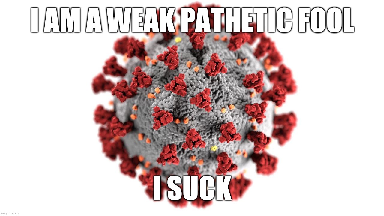 COVID-19 speaks about itself if it loses to Everybody in the World and the Vaccines | I AM A WEAK PATHETIC FOOL; I SUCK | image tagged in coronavirus,covid-19,corona virus,covid 19,covid19,kek | made w/ Imgflip meme maker