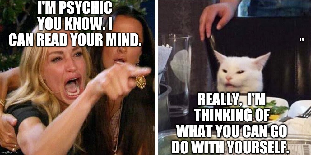 Smudge the cat | I'M PSYCHIC YOU KNOW. I CAN READ YOUR MIND. J M; REALLY,  I'M THINKING OF WHAT YOU CAN GO DO WITH YOURSELF. | image tagged in smudge the cat | made w/ Imgflip meme maker