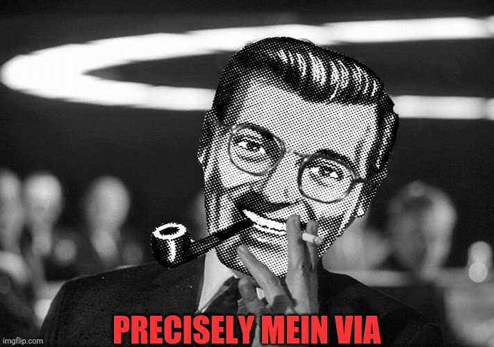 Dr.Strangmeme | PRECISELY MEIN VIA | image tagged in dr strangmeme | made w/ Imgflip meme maker