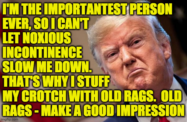 I'M THE IMPORTANTEST PERSON
EVER, SO I CAN'T
LET NOXIOUS
INCONTINENCE
SLOW ME DOWN.
THAT'S WHY I STUFF
MY CROTCH WITH OLD RAGS.  OLD
RAGS -  | made w/ Imgflip meme maker