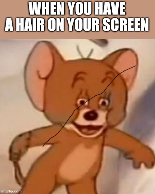 Polish Jerry | WHEN YOU HAVE A HAIR ON YOUR SCREEN | image tagged in polish jerry | made w/ Imgflip meme maker